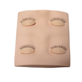 4 Eyelid Pallet