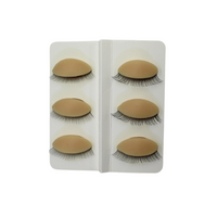 6 Replacement Eyelid