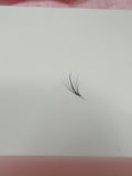 Wispy Lashes